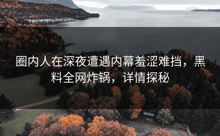 圈内人在深夜遭遇内幕羞涩难挡，黑料全网炸锅，详情探秘