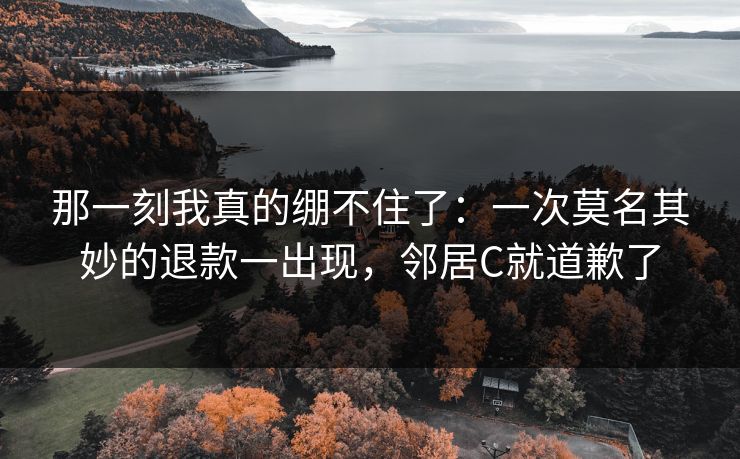 那一刻我真的绷不住了：一次莫名其妙的退款一出现，邻居C就道歉了